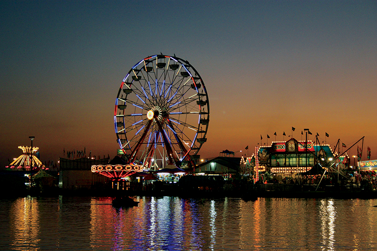 Georgia National Fair